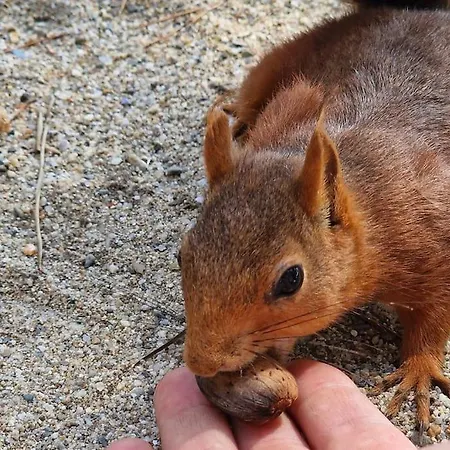 4 People - Christmas Market - Port - Appartement *